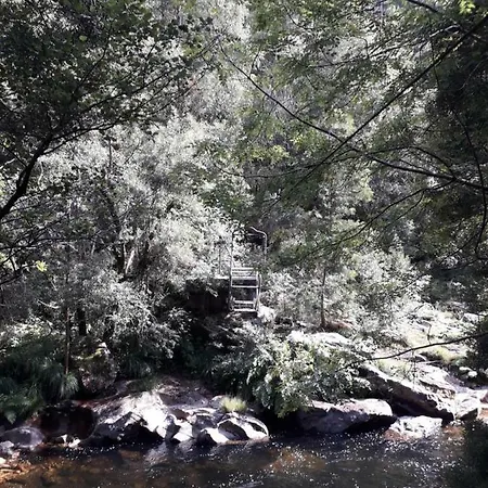 Feira De Loiba Dom wakacyjny